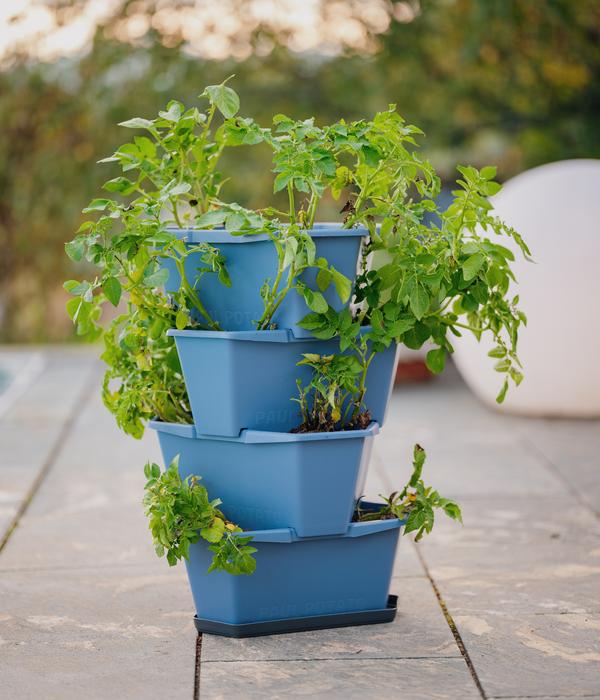 Gusta Garden Kartoffelturm Paul Potato