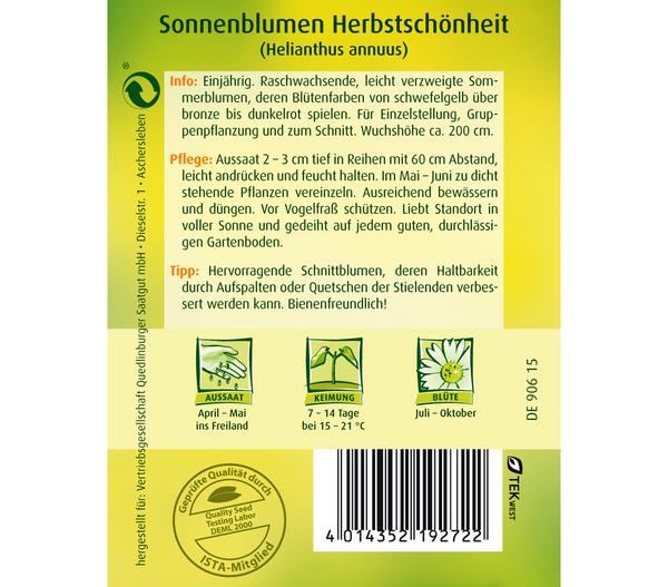 Quedlinburger Samen Sonnenblume