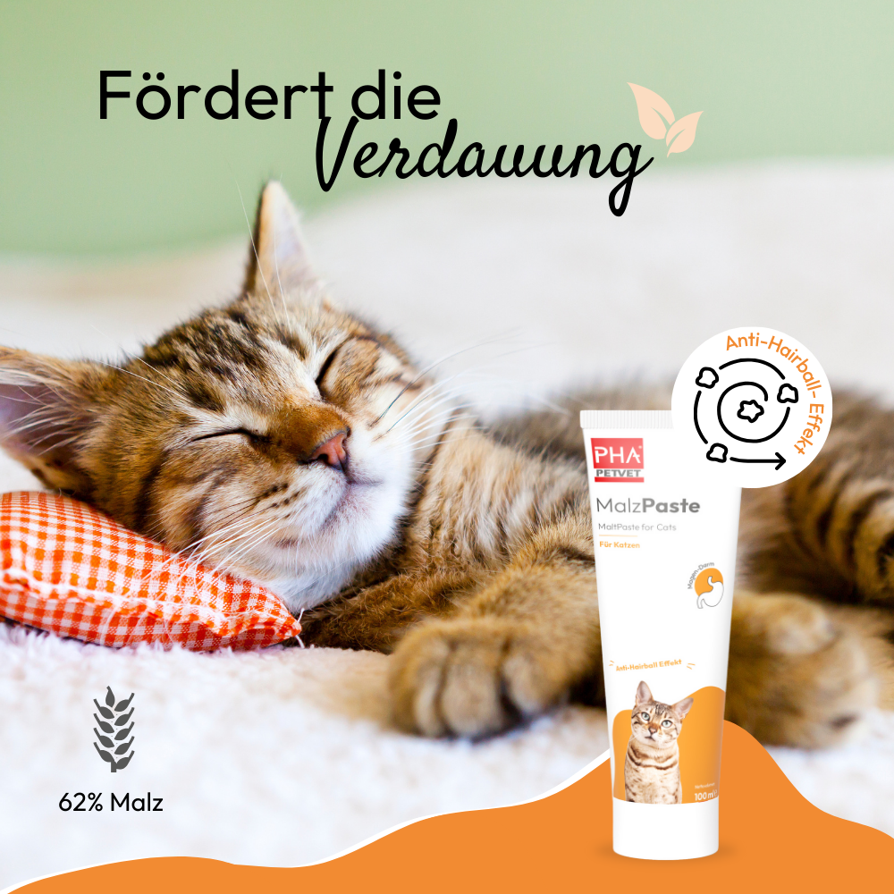 PHA Malzpaste Paste für Katzen Tb 100 ml