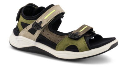 ECCO 710643  X-TRINSIC (36-40)