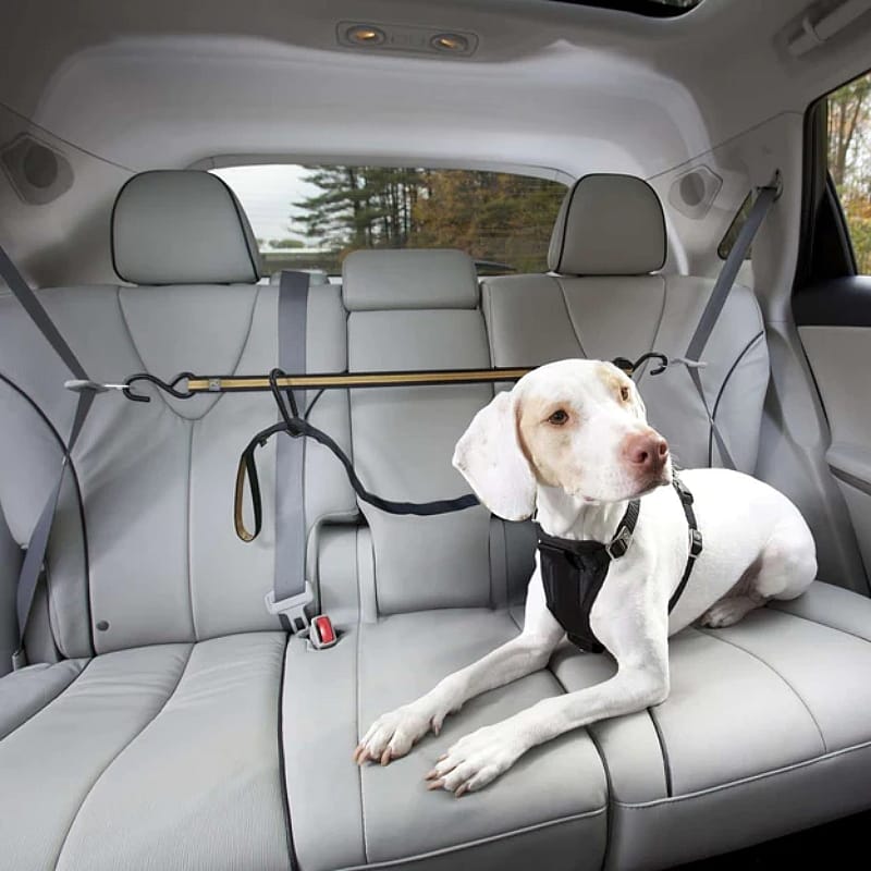 De Kurgo Zip-Line, de beste combinatie van vrijheid en veiligheid voor uw hond achterin de auto.