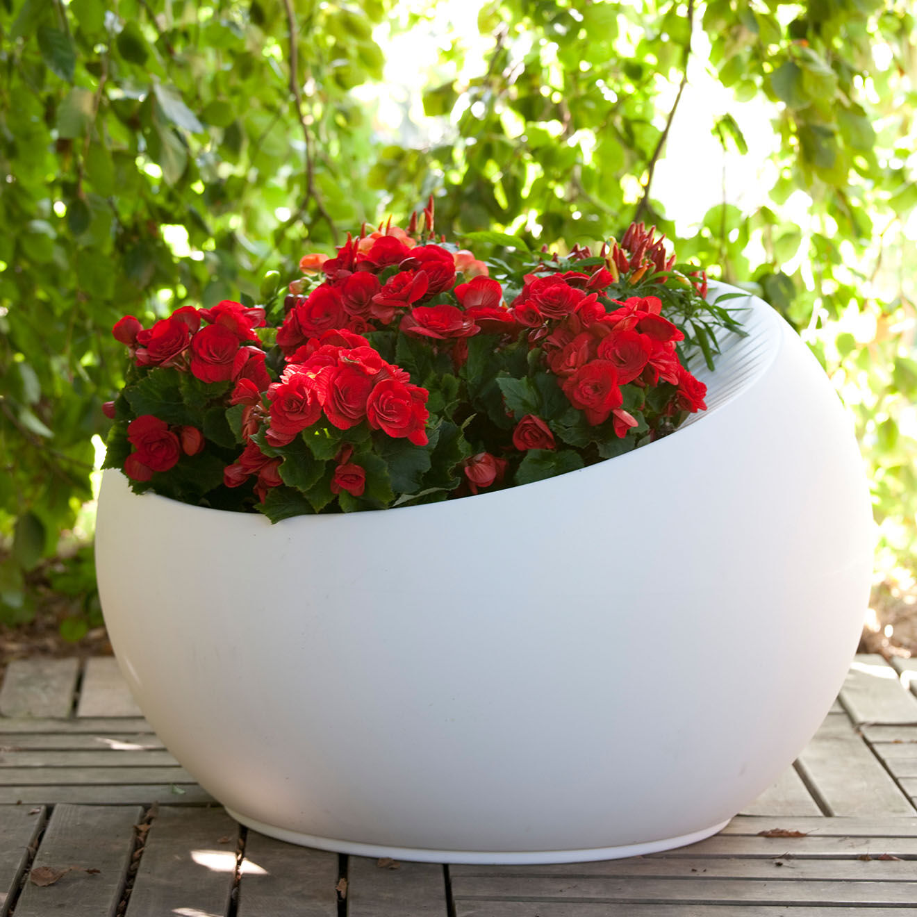 Serralunga Pot oeuf de colomb design par carlo colombo blanche - D.80x55 cm