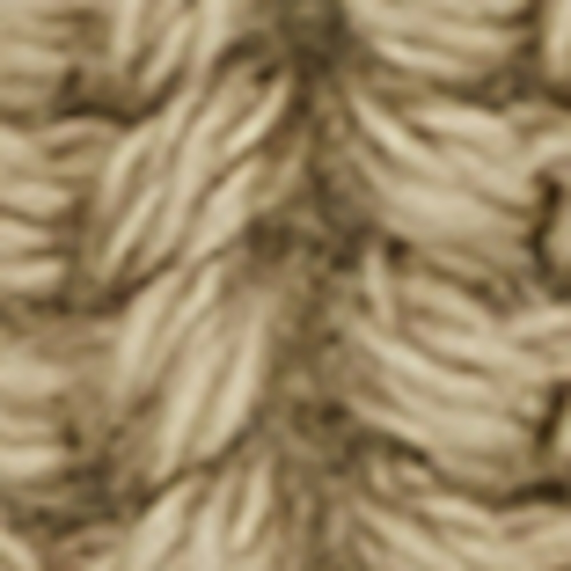 DfC Mütze aus Organic Cotton