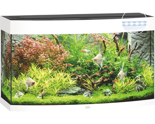JUWEL Vision 180 aquarium met LED-verlichting, verwarming, filter, zonder kast, wit