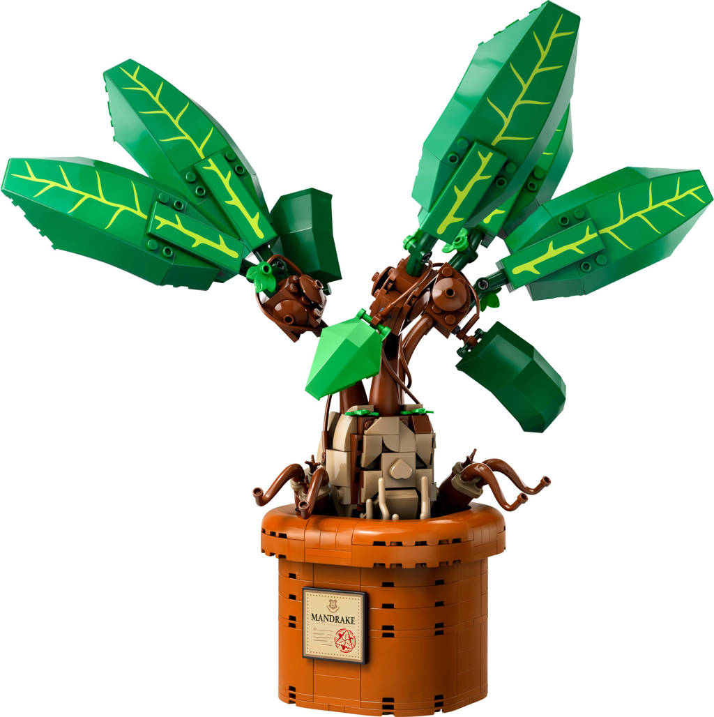 Leuk concept, gedoe om te bouwenMandragora Speelgoed Plant set 76433
