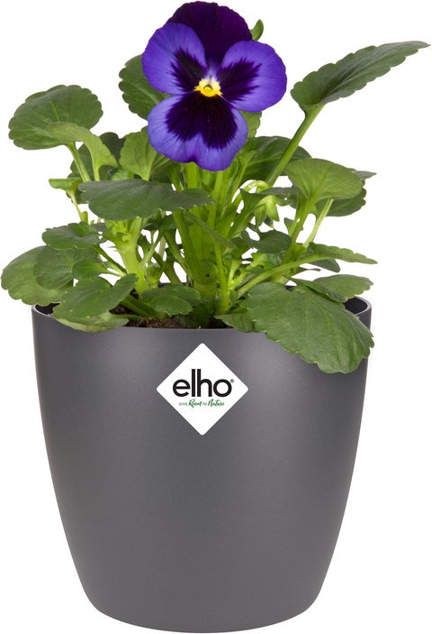 Elho bloempot Brussels antraciet D 11 H 9,7 cm