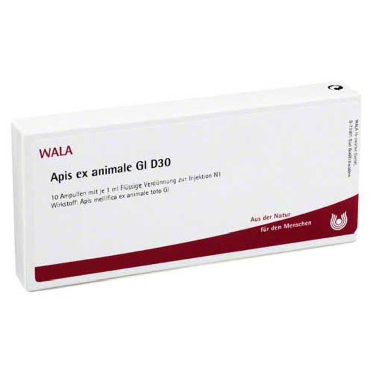 Apis ex animale GL D 30 Ampullen, 10X1 ml