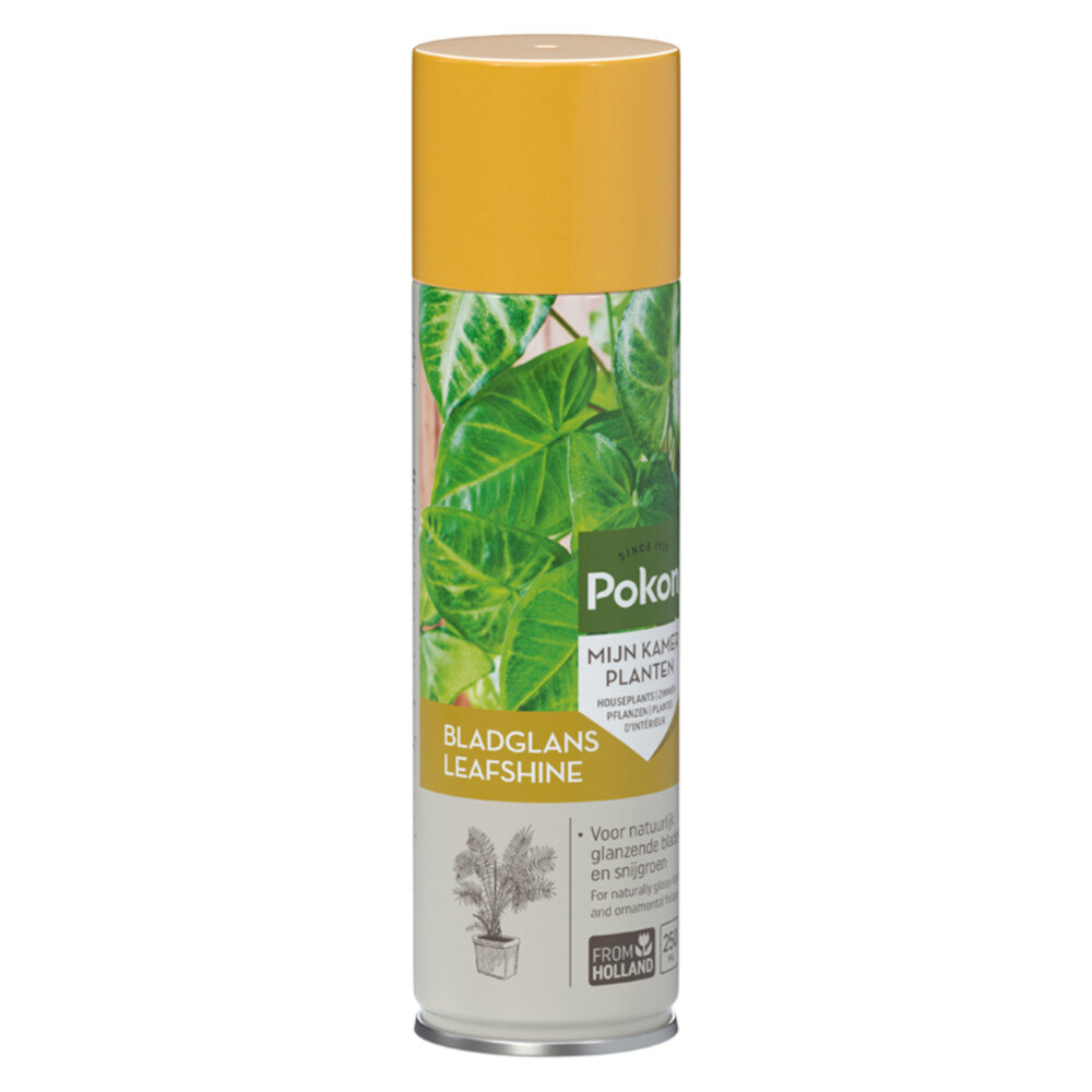 Pokon Bladglans 250 ml