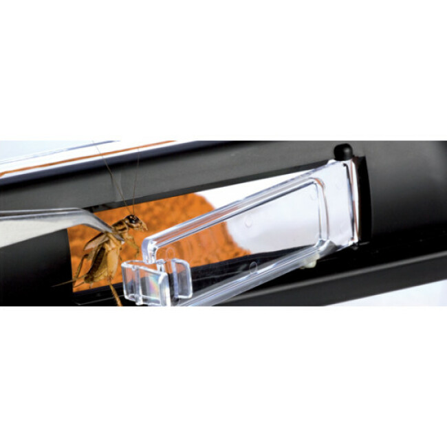 Boite d'élevage pour reptiles Breeding Box Exo Terra