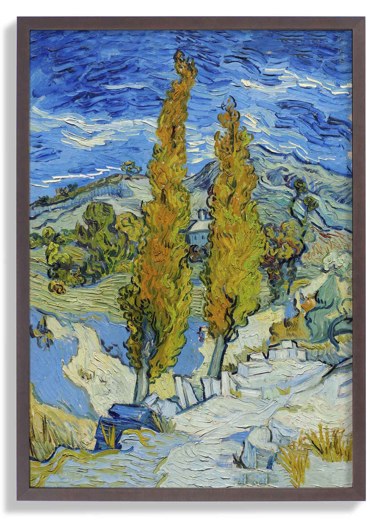 Die Pappeln in Saint-Rémy von Van Gogh