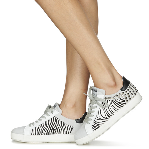 Meline - MOLI - Beige / Zebre