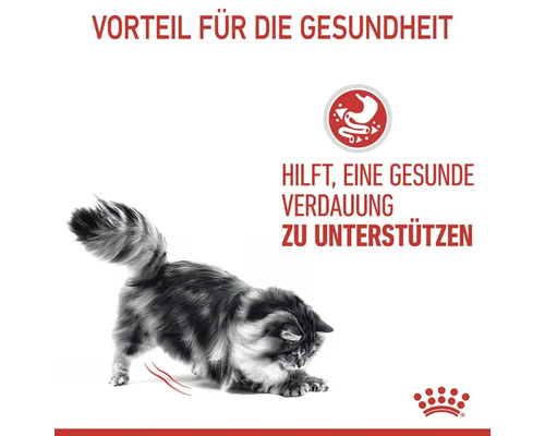 ROYAL CANIN Digest Sensitive natvoer voor katten 85g