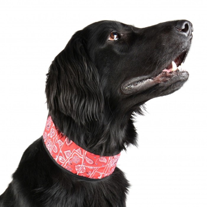 Collier rafraîchissant rouge