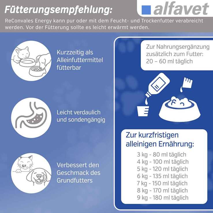 Reconvales Energy Diät-Erg.Futterm.für kl.Hund / Katze, 180 ml