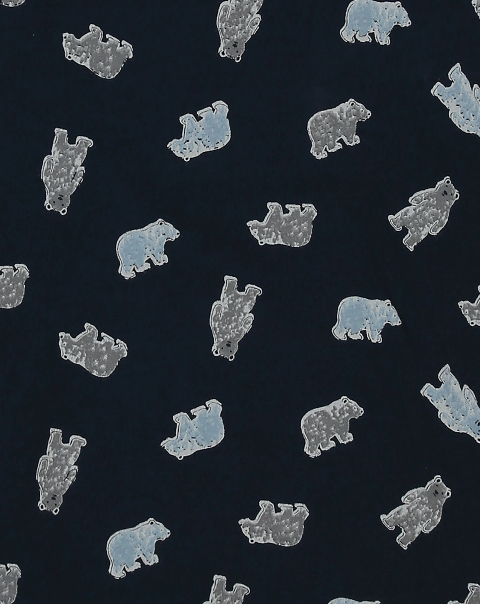 Schlafanzug lang ARCTIC in blue space