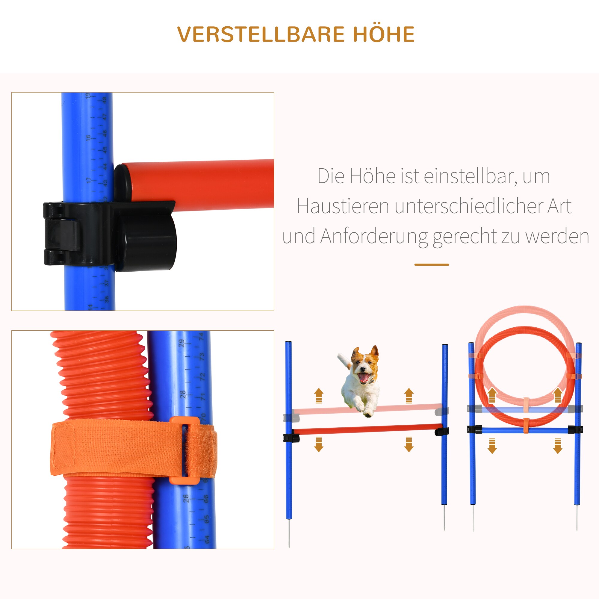 PawHut Hundesport blau, rot
