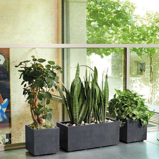 Muret Millenium à réserve d'eau en plastique Anthracite 59x25xH.25cm
