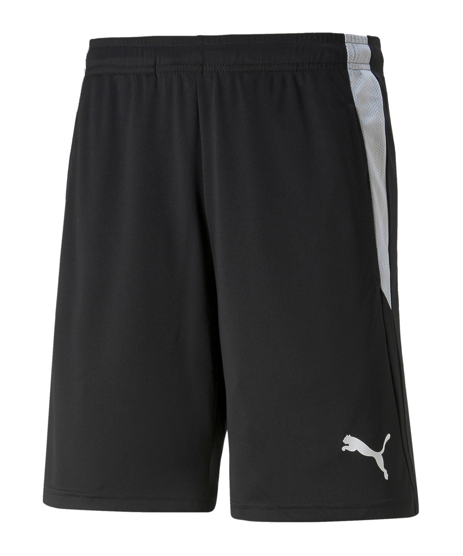 Puma| Herren Fußball - Teamsport Textil - Schiedsrichterhosen teamLIGA Schiedsrichter Short