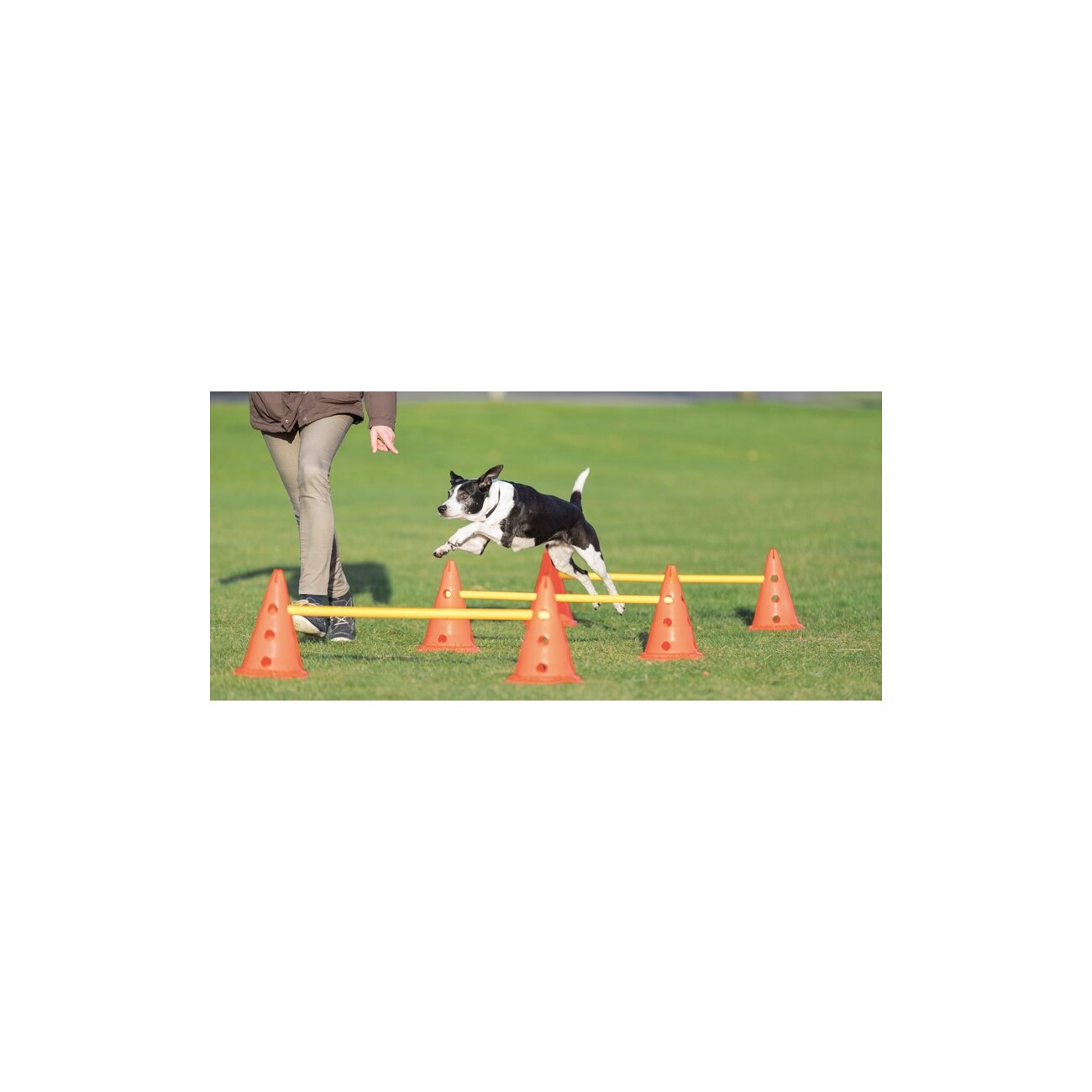 Trixie Dog Activity Hindernisse Ø23x30cm