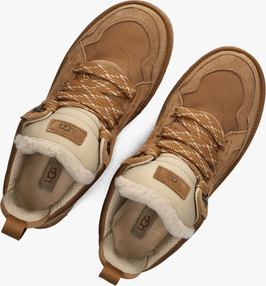 camel ugg lage sneakers m lowmel
