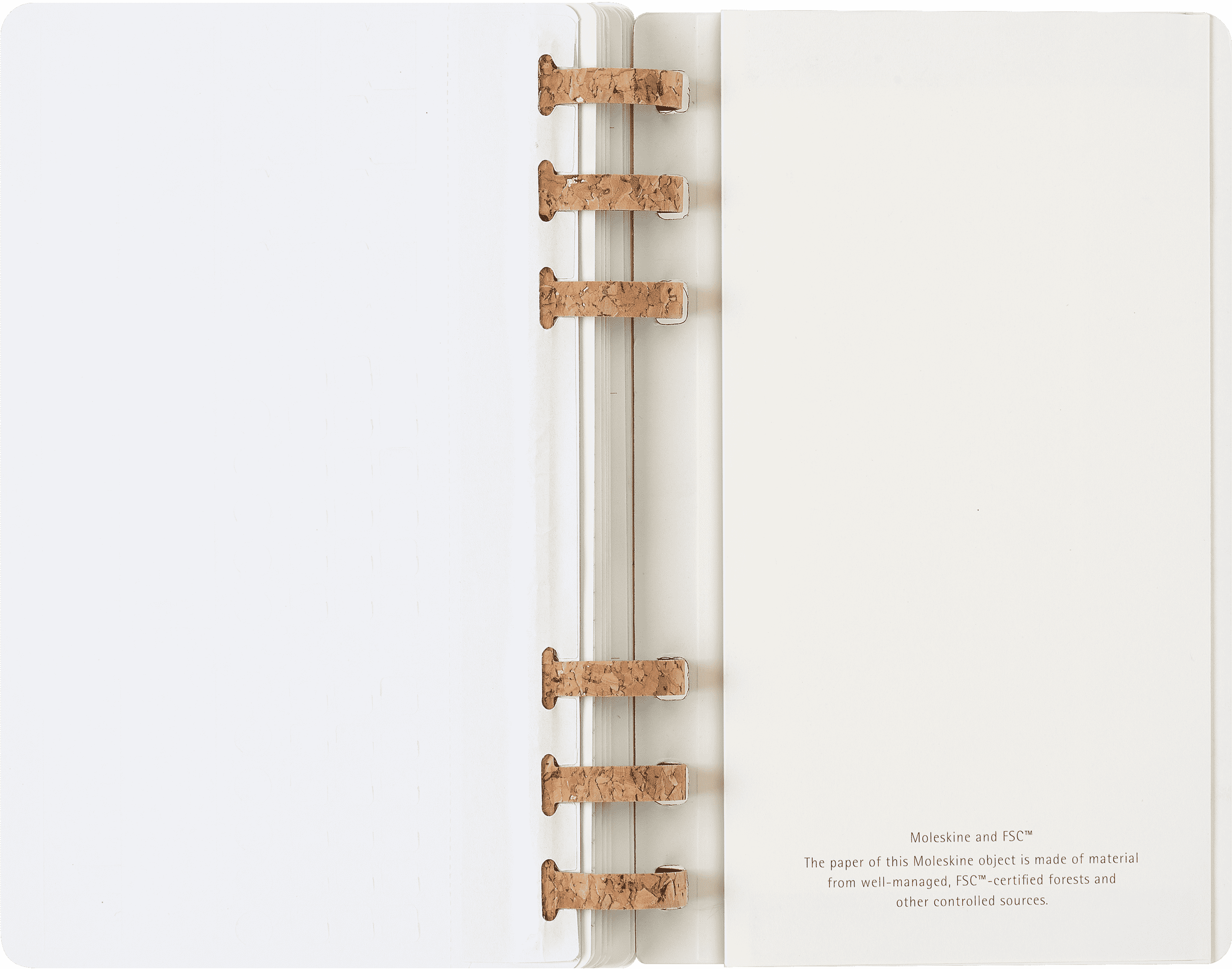 Student Life Planner 2024/2025 12-Month, Spiral
