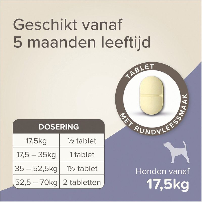 Beaphar All In One Ontwormingsmiddel - Hond - 17.5-70 kg - 2 Tabletten