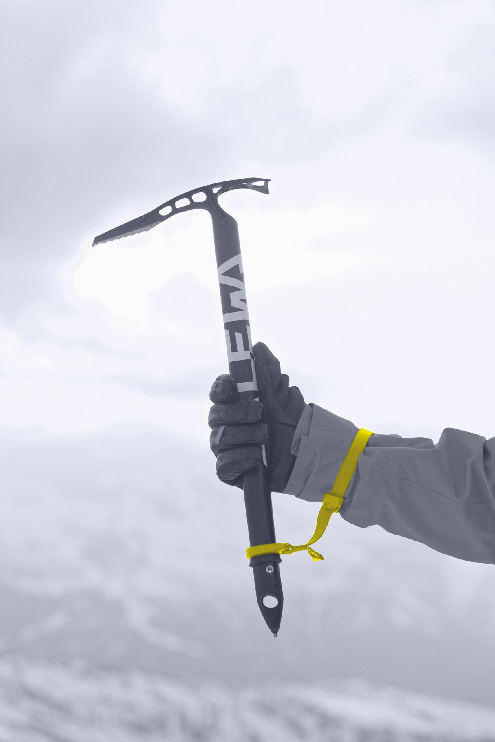 Alpine-X Eispickel