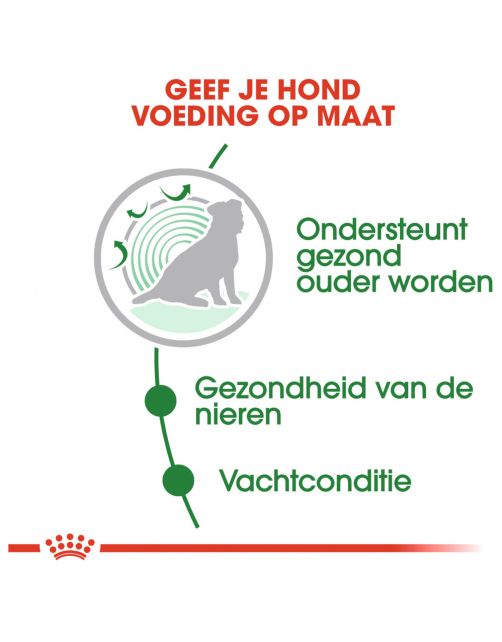 Royal Canin Mini Ageing 12+ Natvoer - Hondenvoer - 85 g