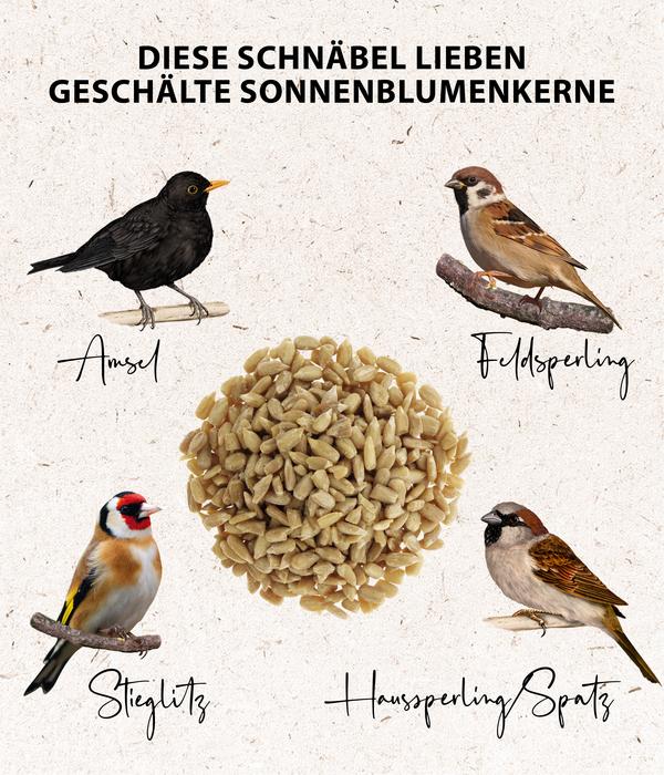 Dehner Natura Premium Wildvogelfutter