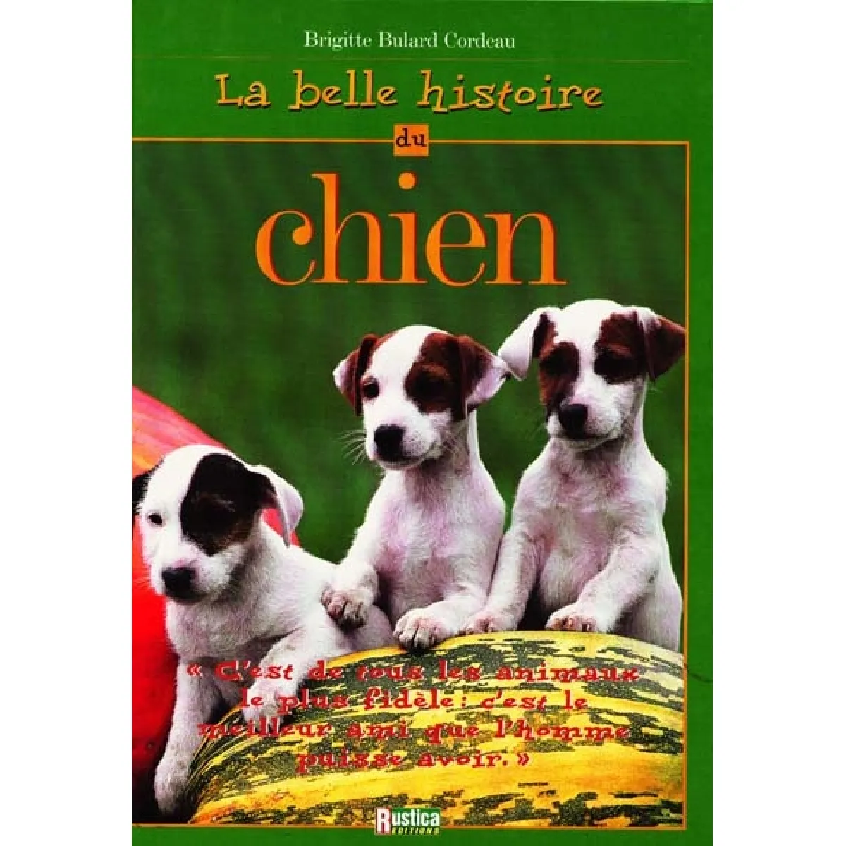 La belle histoire du chien · Occasion
