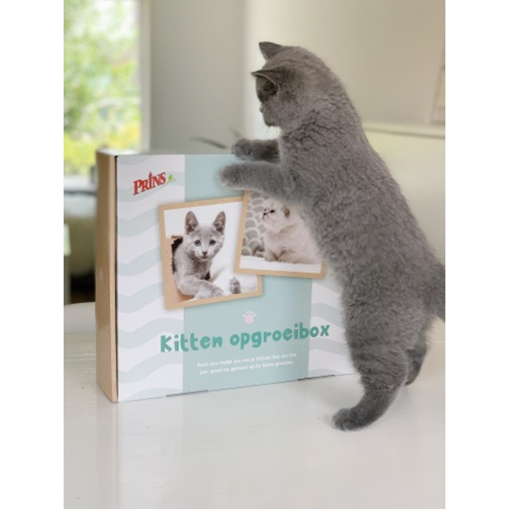 Prins Opgroeibox VitalCare Protection Kitten