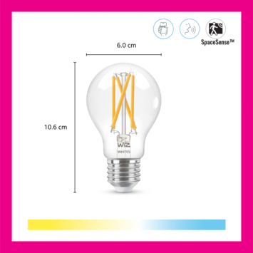 WiZ Connected LED peer E27 60W 2 stuks filament helder koel tot warmwit licht dimbaar