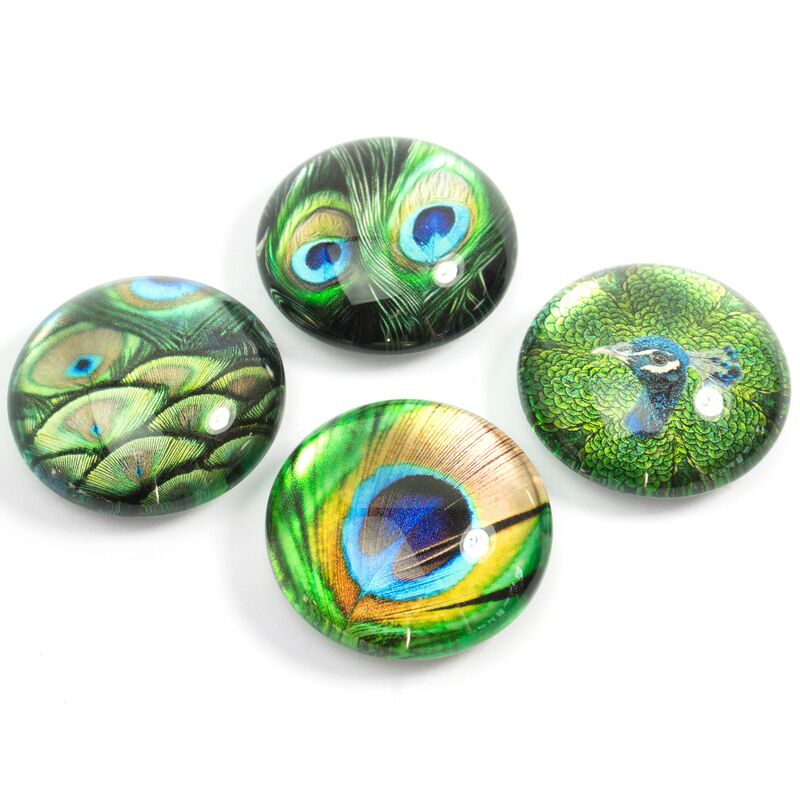 Trendform Magnete Peacock, 35 mm, grün, 4 Stück