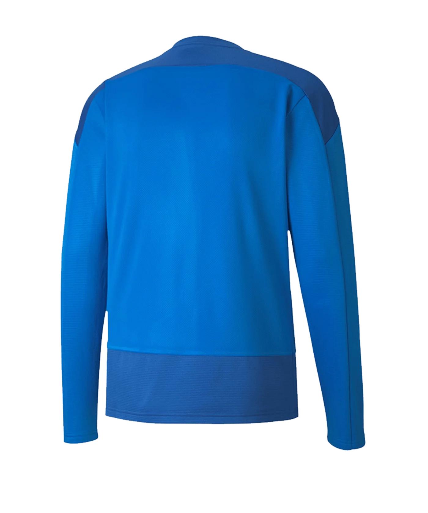 PUMA teamGOAL 23 Training Sweatshirt Blau F02