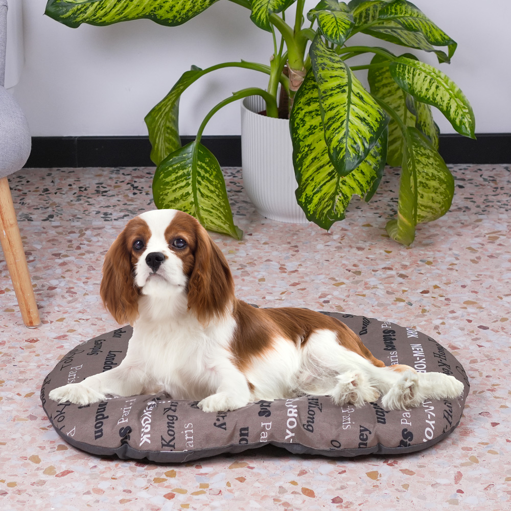 Ferplast coussin chien relax 65/6, coussin chat, lit pour chiens chats animaux domestiques, matelas, tapis, coussin rembourré pour