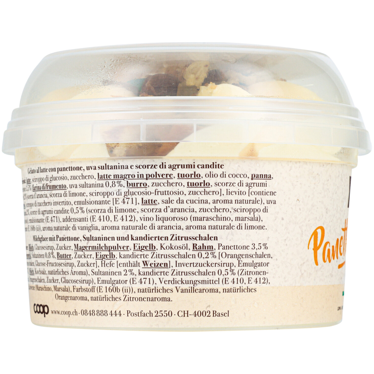 Sapori Gelato Panettone