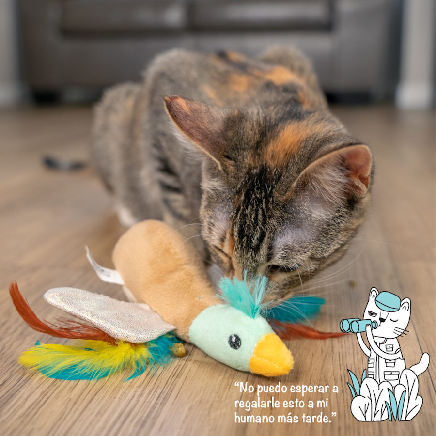 Pato de pelúcia Outward Hound Catstages Flapperz para gatos