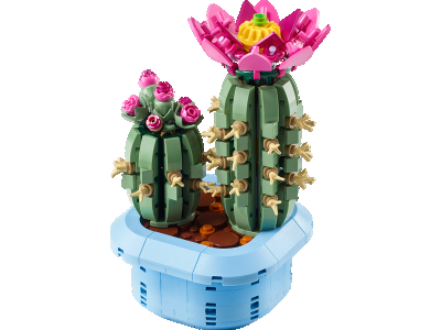 LEGO Bloeiende cactus (11509)