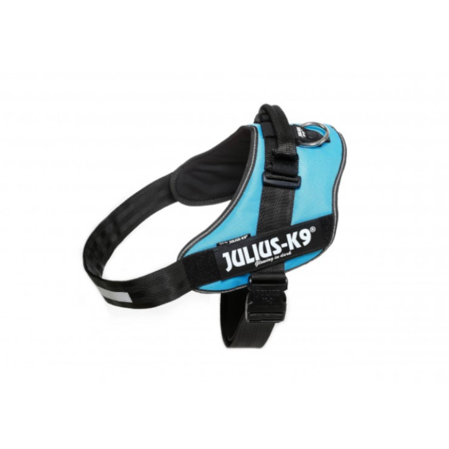 Coleira para cães Julius K9 IDC Azul
