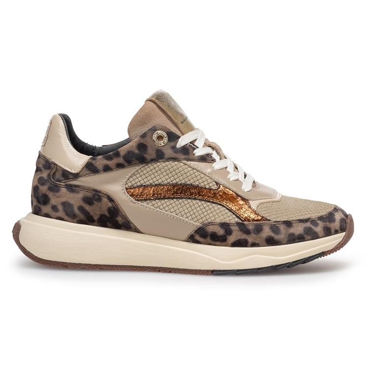Floris van Bommel SFW-10138 taupe