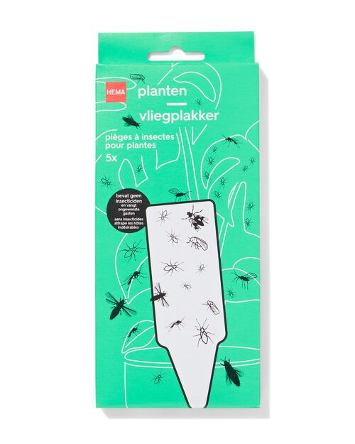 5 attrape-mouches pour plantes