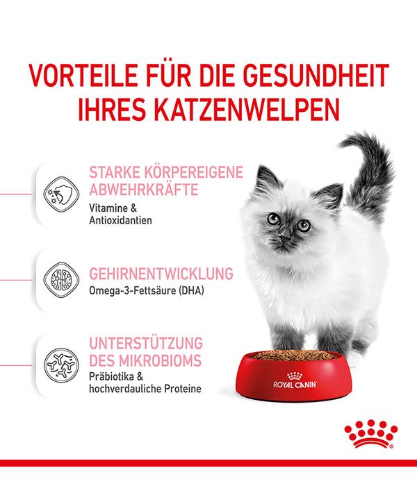 ROYAL CANIN® Trockenfutter für Katzen Kitten