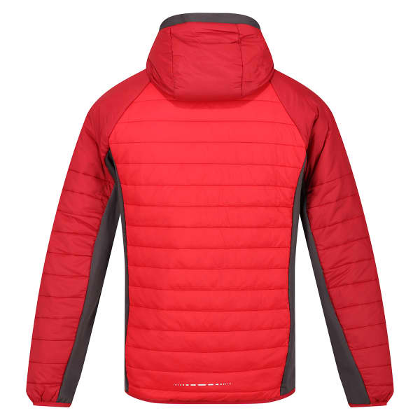 Doudoune randonnée REGATTA TRUTTON CHINESE RED/DAR