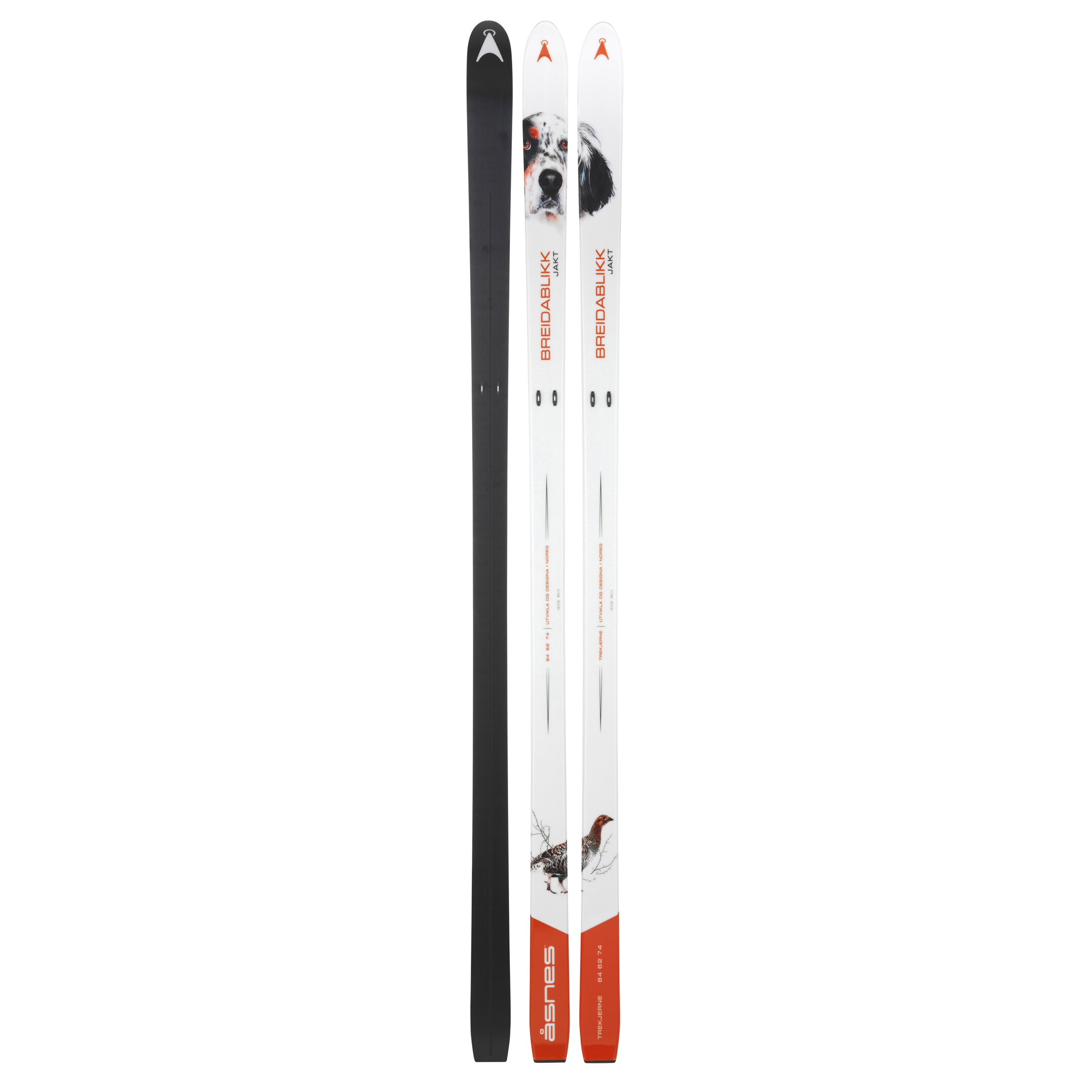 Breidablikk Hunter BC Ski WHITE