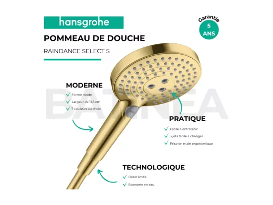 Pommeau de douche HANSGROHE Raindance Select S EcoSmart 120 3 jets aspect doré poli + flexible de douche 1,60 m HANSGROHE Isiflex aspect doré poli
