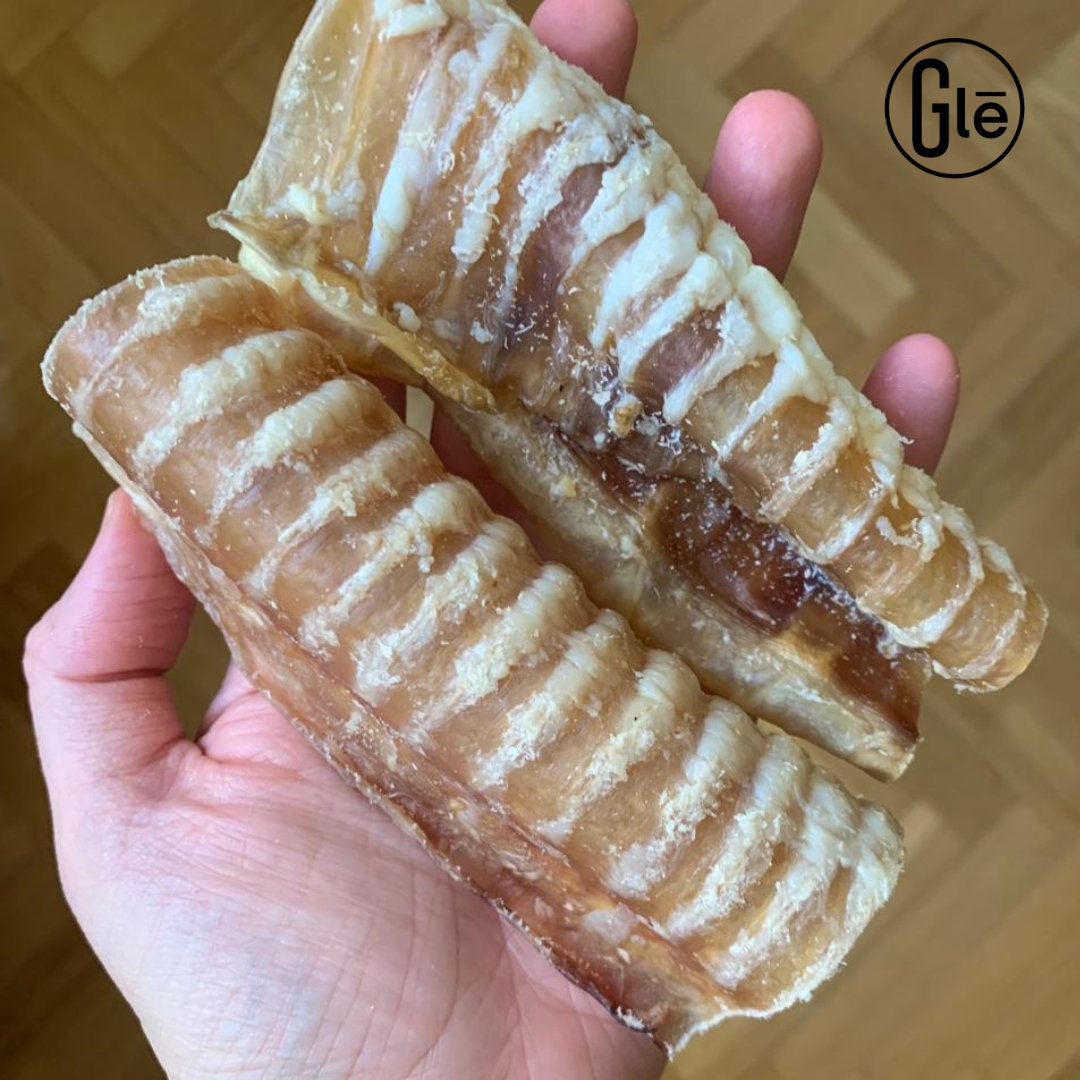 GLE PETS Traqueias bovinas desidratadas, petiscos naturais para cães
