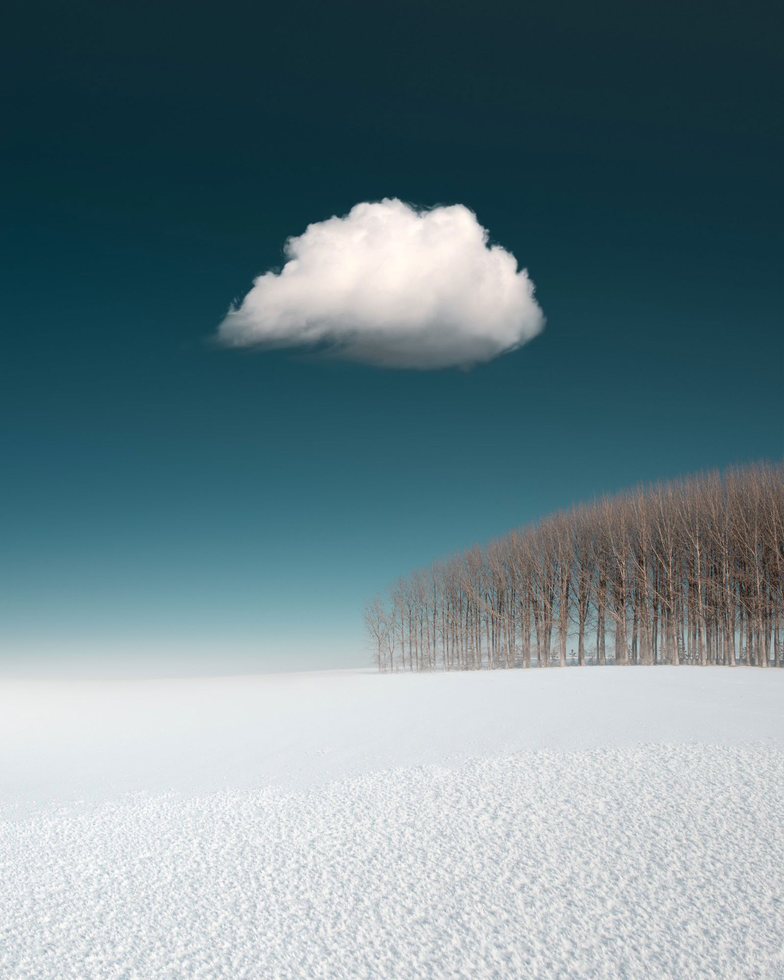 Palouse by Benjamin Everett - Limited Edition. Edition of: 150. Signed.