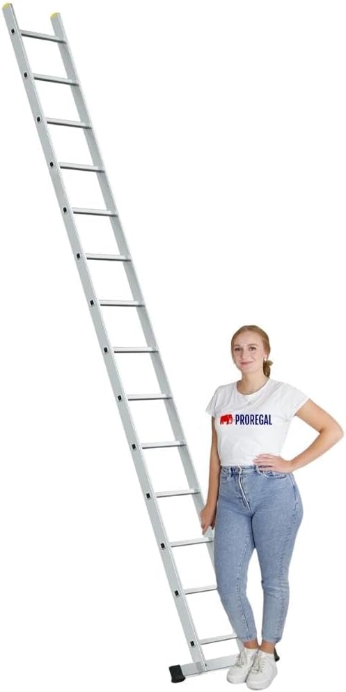 PROREGAL Economy Plus sportschuifladder met dwarsbalk, 14 sporten, werkhoogte 4,75 m, draagvermogen 150 kg