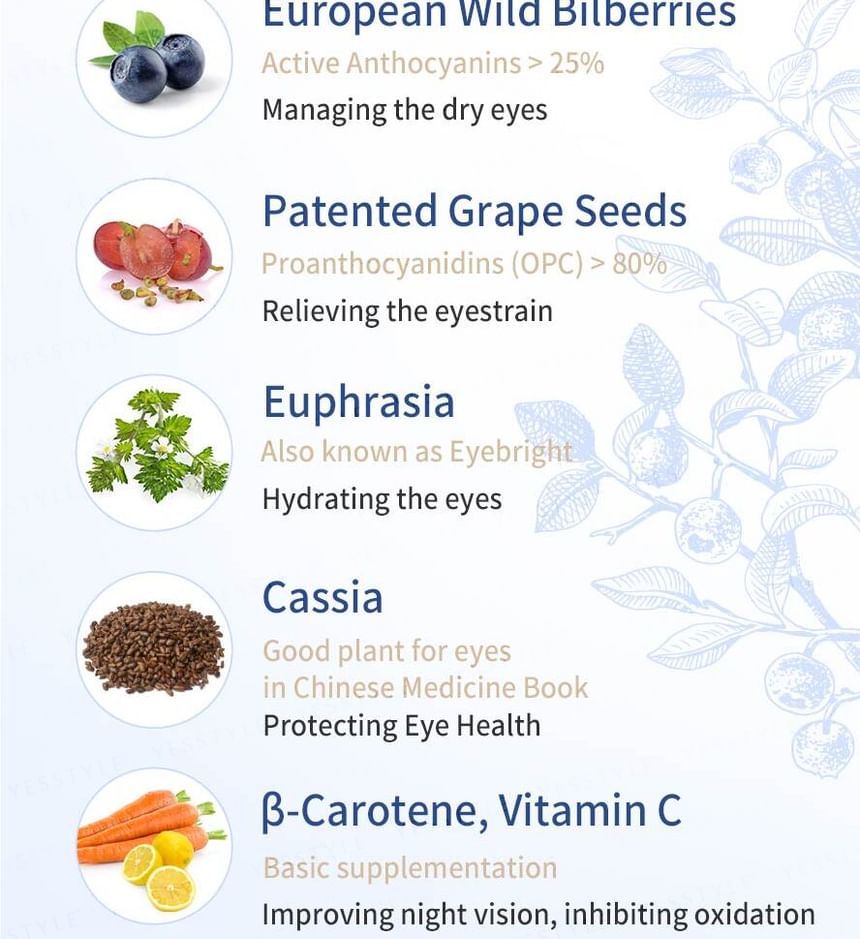 BHK's - Bosbessen Ogentroost Veg Capsules