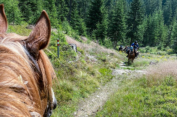 Wanderreiten Aschbach